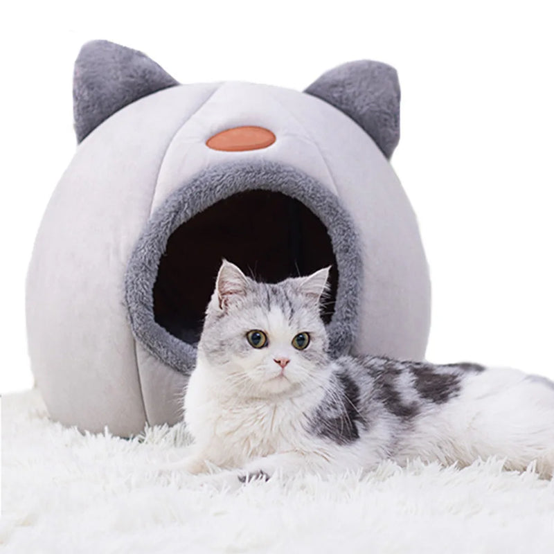 Cama e Toquinha para gatos Iglu Cat